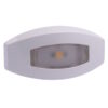 Lumitec Fiji RGBW Courtesy Light White Direct