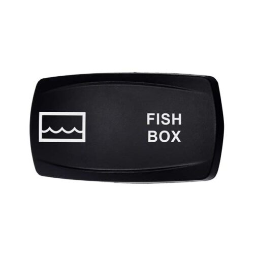 Fish Box - Right