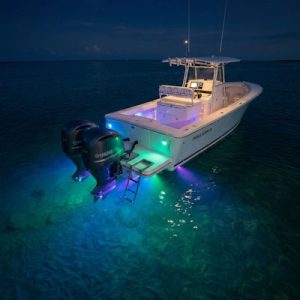 Regulator lighting and underwater lights